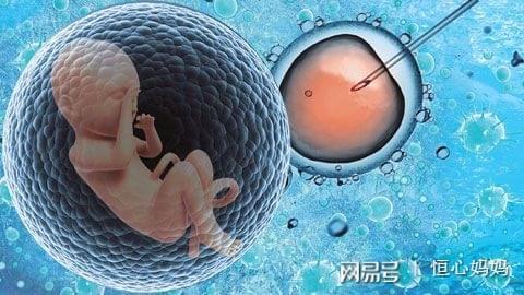 试管婴儿包生男孩公司